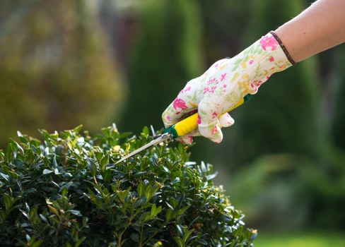 Professionally mowed Putney lawn