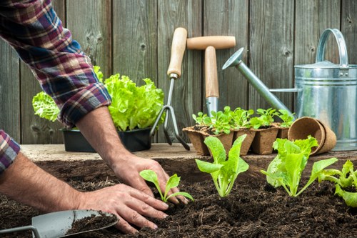 Eco-friendly sustainable garden in Putney with native plants
