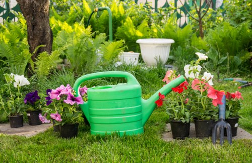 Healthy maintained trees enhancing property value