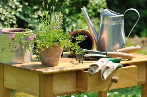 Eco-friendly tree removal practices in Putney