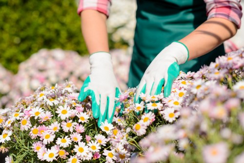 Tools and equipment for garden maintenance in Putney