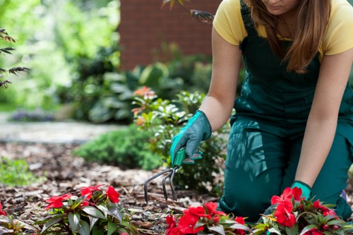 Seasonal lawn maintenance in Putney