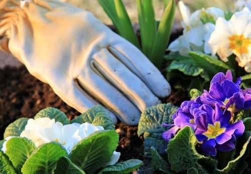 Seasonal garden care activities in a Putney garden setting