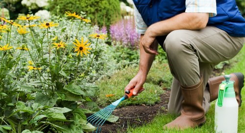 Advanced equipment used by About Us Lawn Mowing Putney