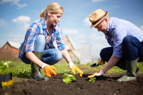 Eco-friendly lawn mowing practices