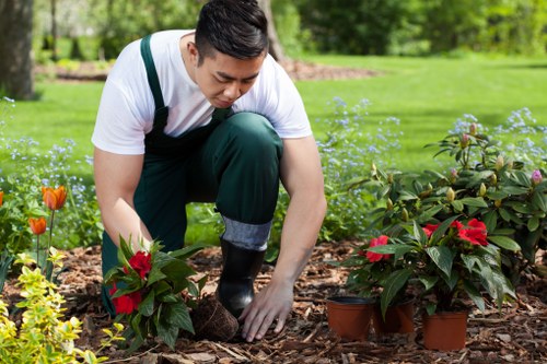 A man wearing a white T-shirt and dark green overalls is kneeling on a mulched garden bed in a well-maintained outdoor area, planting or tending to flowering plants with red blooms. The garden features lush green grass and a background of trees and shrubbery, indicating a spacious, landscaped yard. The scene is set in natural daylight with slightly overcast weather, creating soft natural lighting that highlights the vibrant colours of the garden plants. Visible elements include flower pots, healthy flower beds, a trimmed lawn, and a natural wooden mulch covering the soil, all contributing to an aesthetically pleasing garden environment typical of professional lawn and gardening services provided by Lawn Mowing Putney. The overall composition reflects attentive gardening work in a residential setting within Putney, London, aligned with lawn care and outdoor maintenance themes.
