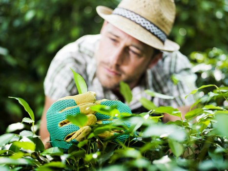 Customizable lawn mowing schedules in Putney